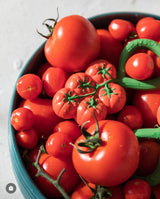 Rattle Toy | Tomato