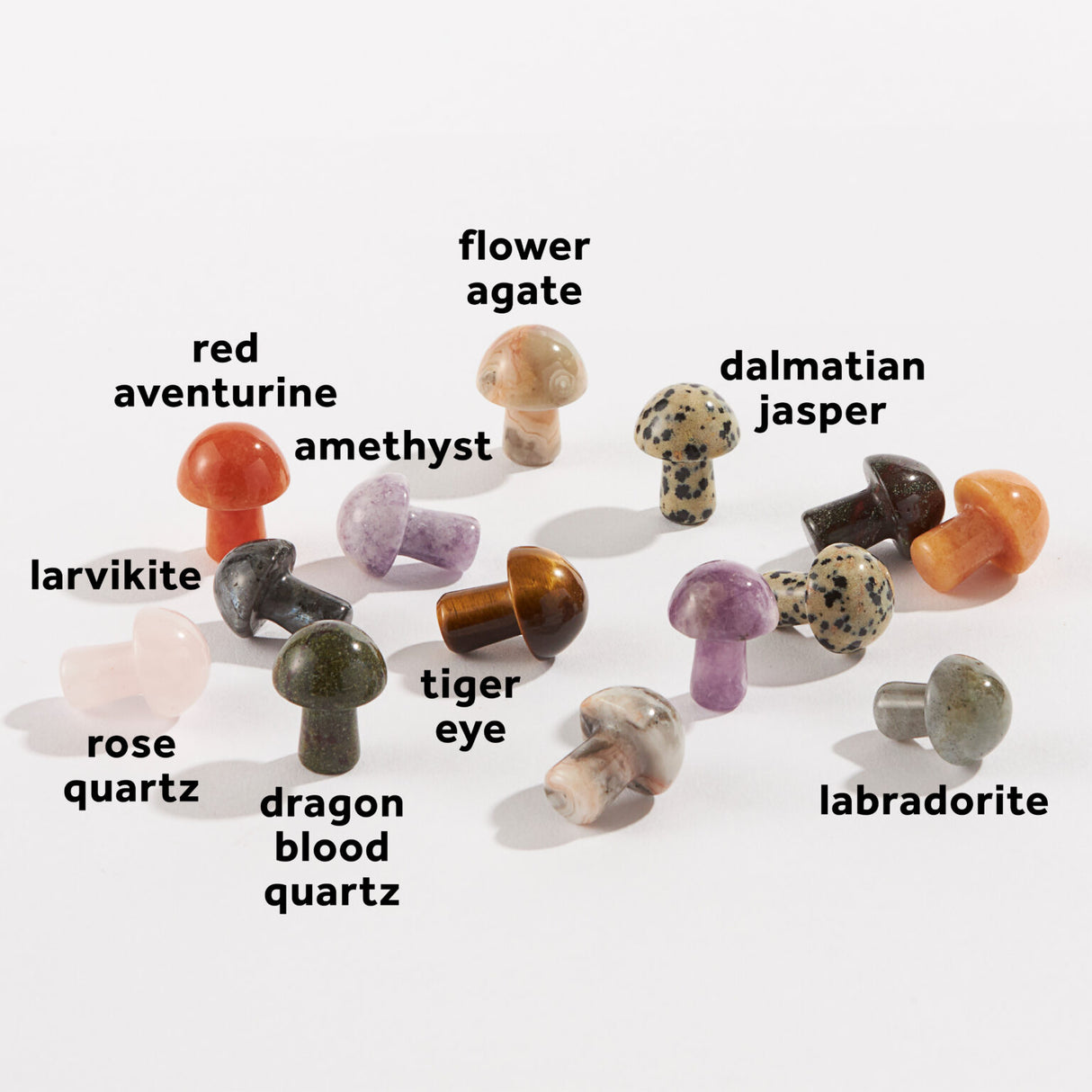Carved Mushroom mini crystal collection including amethyst, labradorite, larvikite, dalmatian jasper, and more in assorted styles.