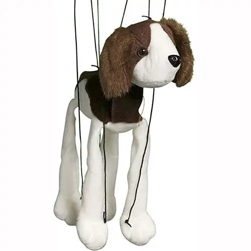 Marionette Small | Spring Spaniel Dog