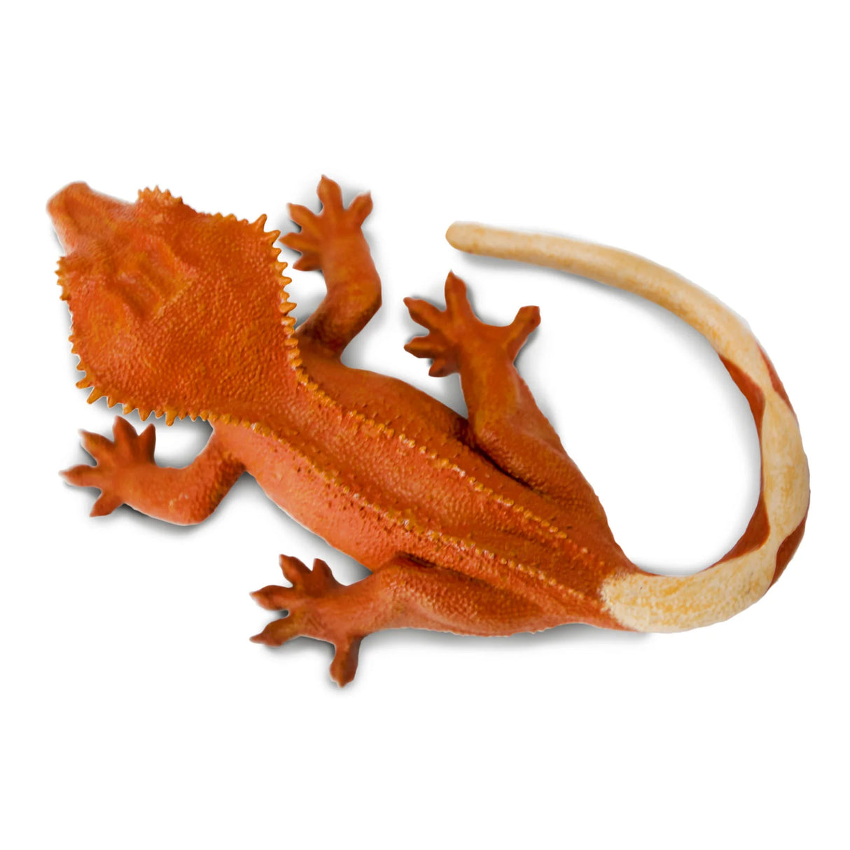 Crested Gecko