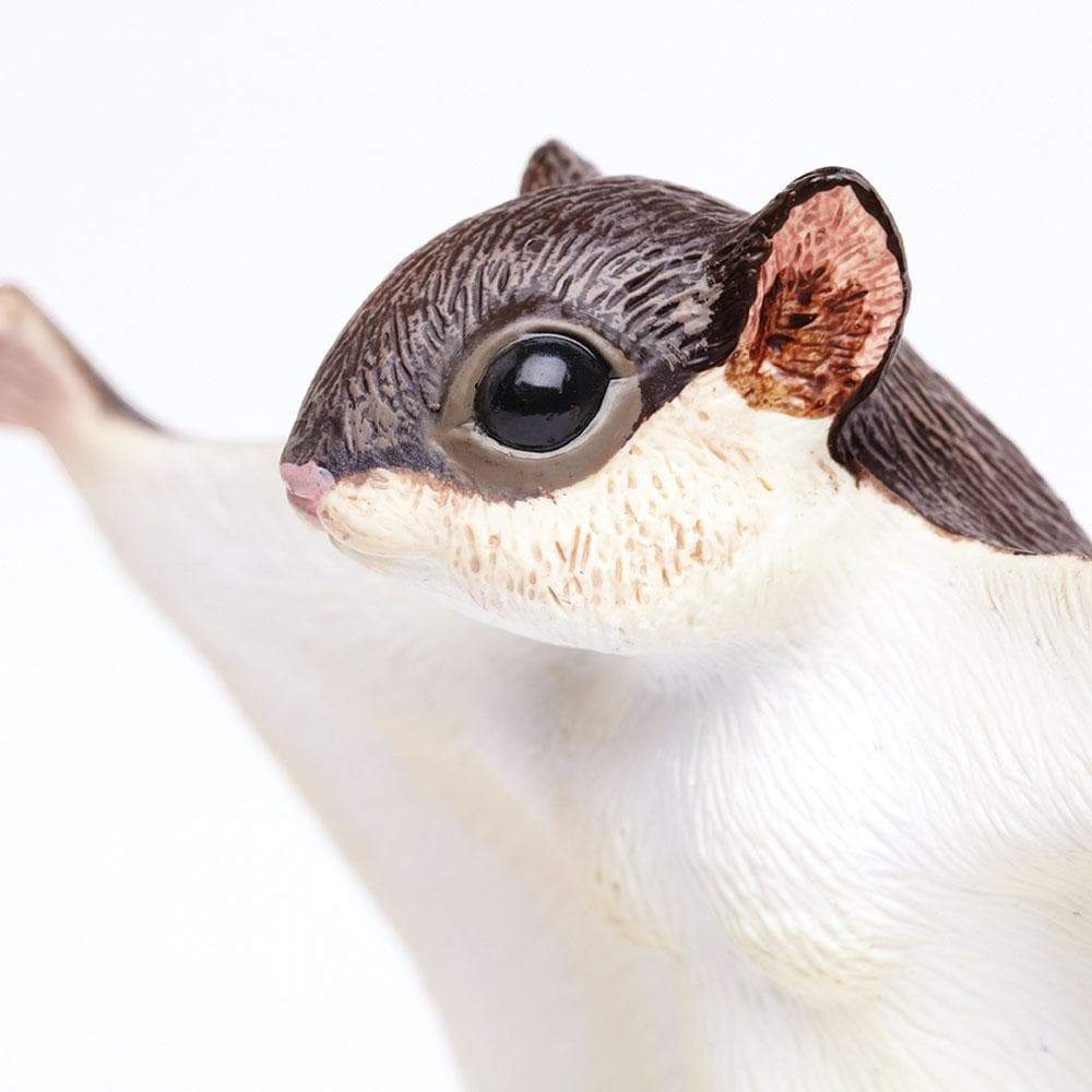 Flying Squirrel