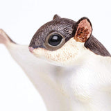Flying Squirrel