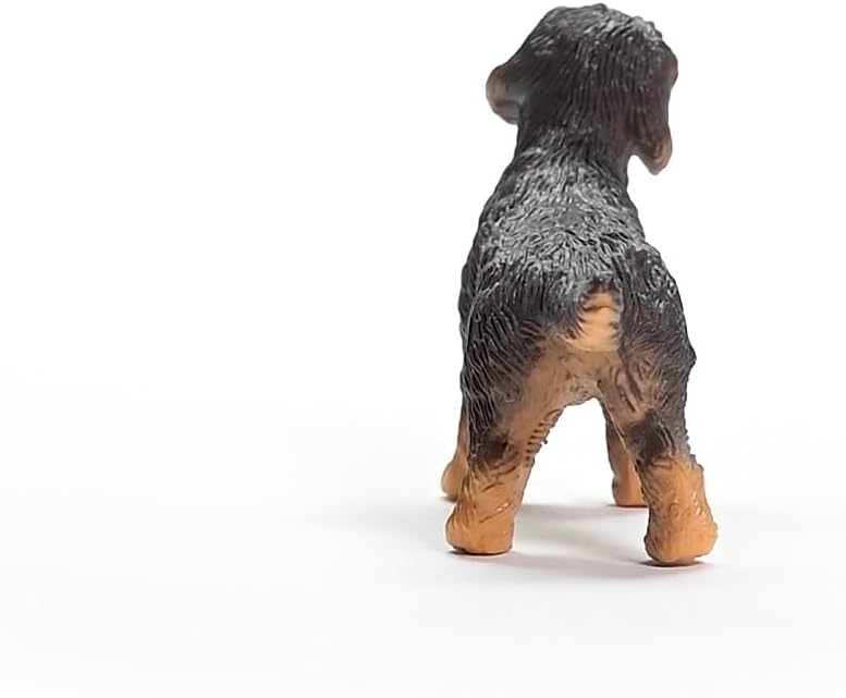 Wire-Haired Dachshund
