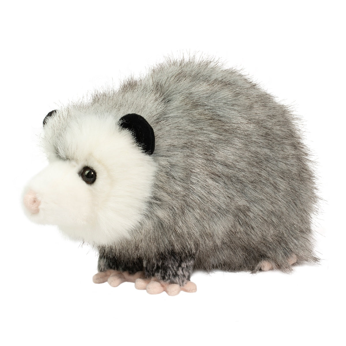 Possum Ozzy