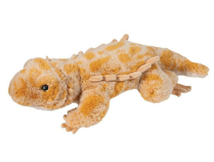 Bearded Dragon Boogie