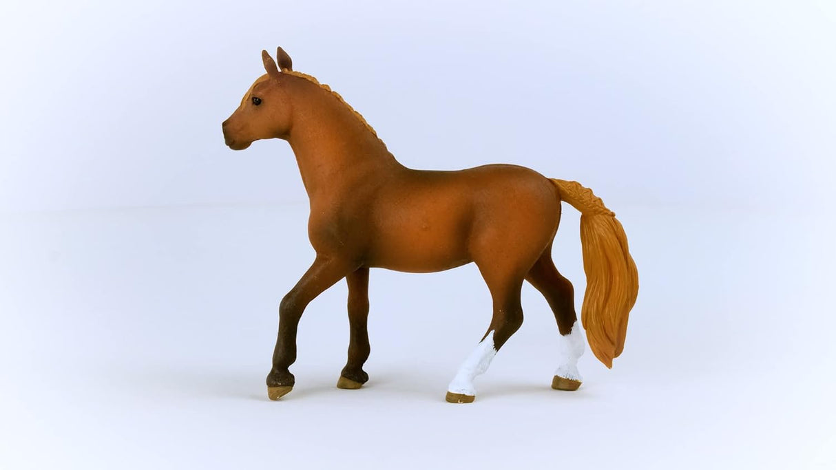 Peruvian Paso Mare Horse