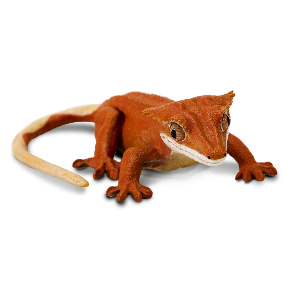 Crested Gecko