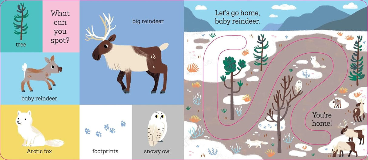 Illustration showing baby reindeer, tracks, Arctic fox, snowy owl, and a winding path leading home in a snowy landscape