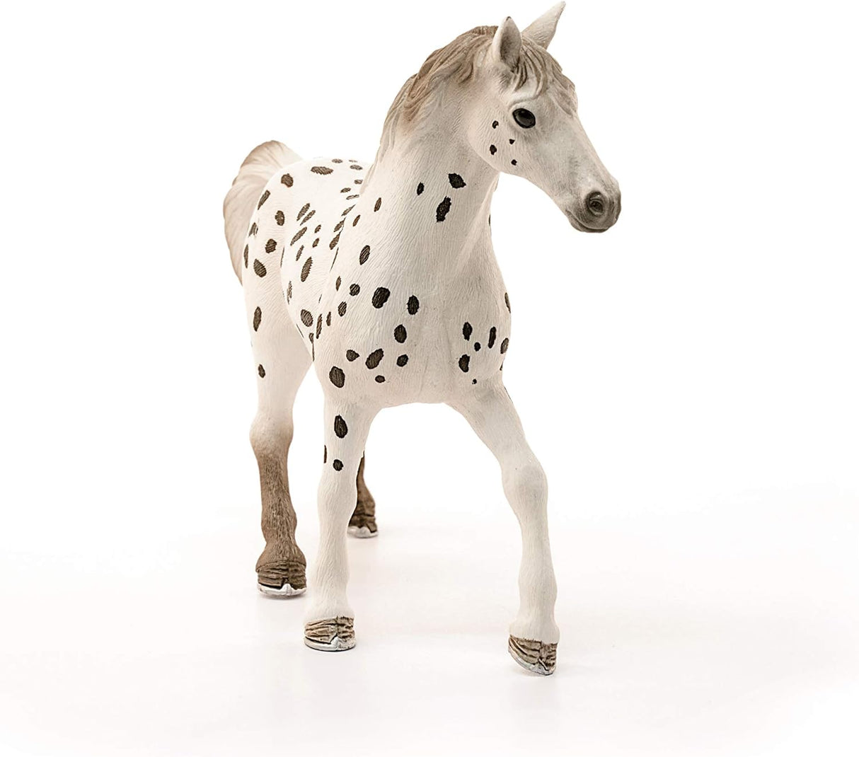 Knapstrupper Stallion Horse