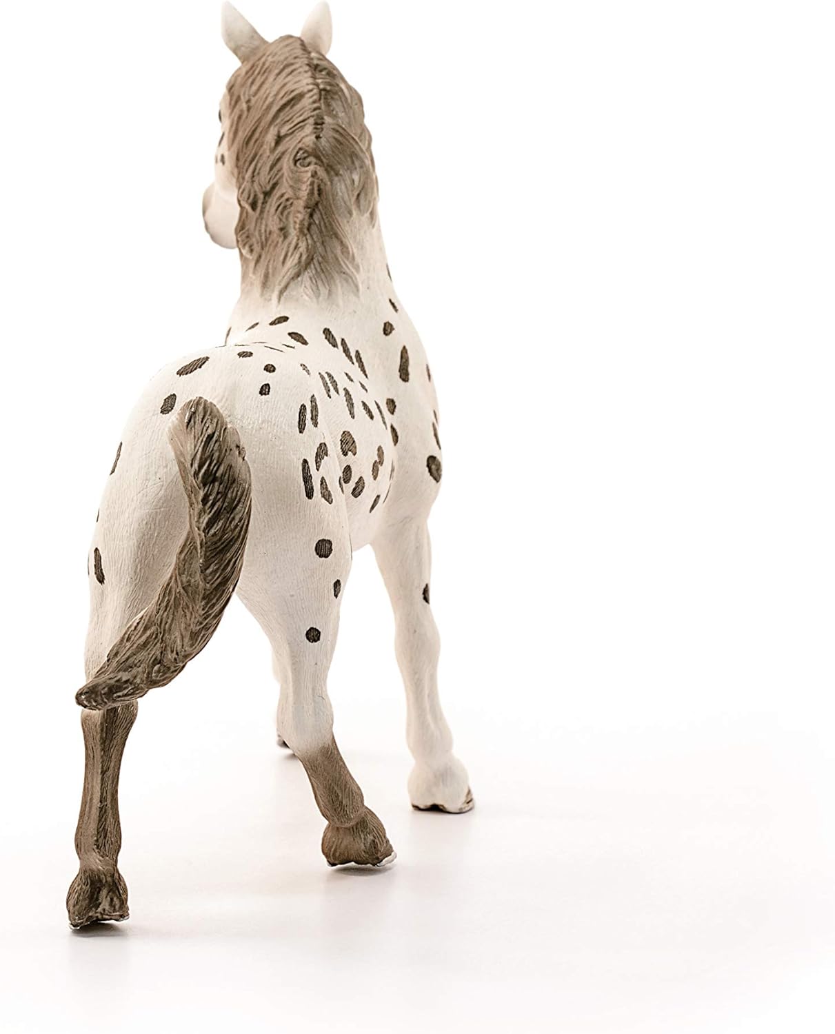 Knapstrupper Stallion Horse