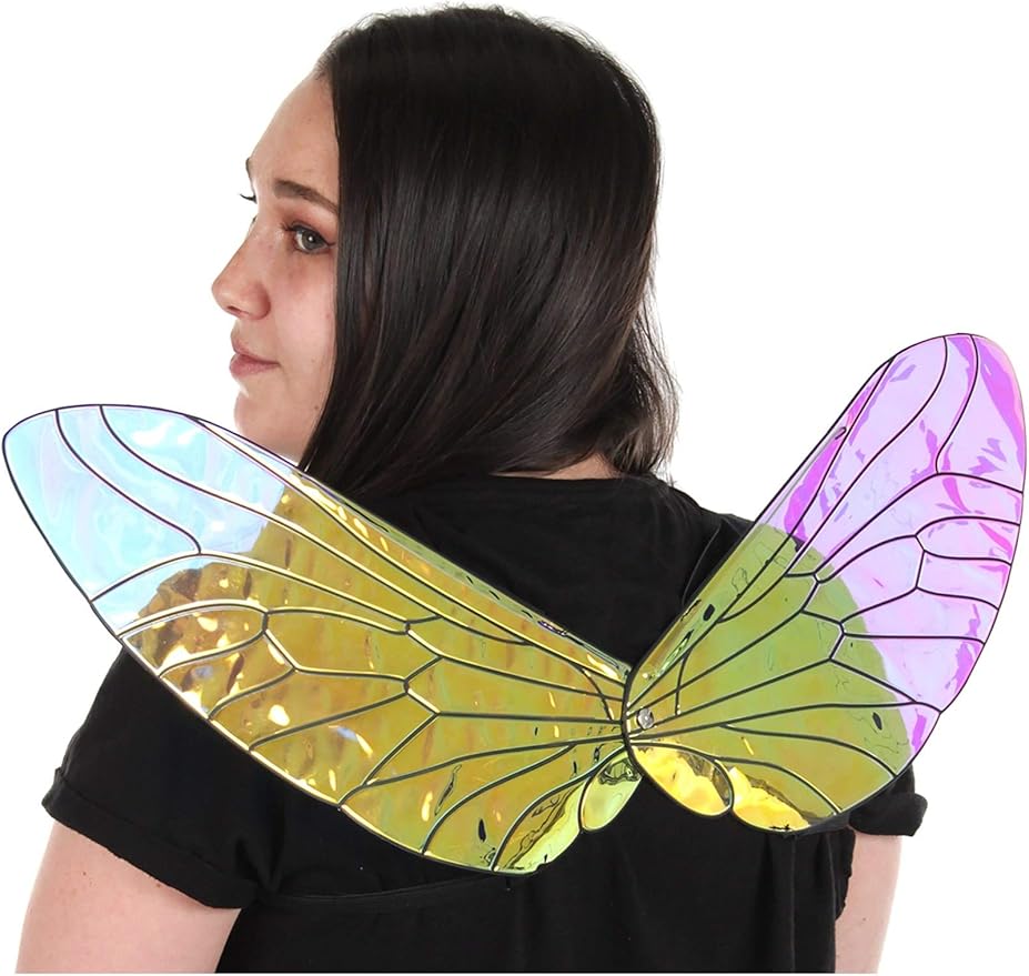 Holographic Bee Wings
