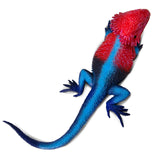 Mwanza Flat-Headed Rock Agama