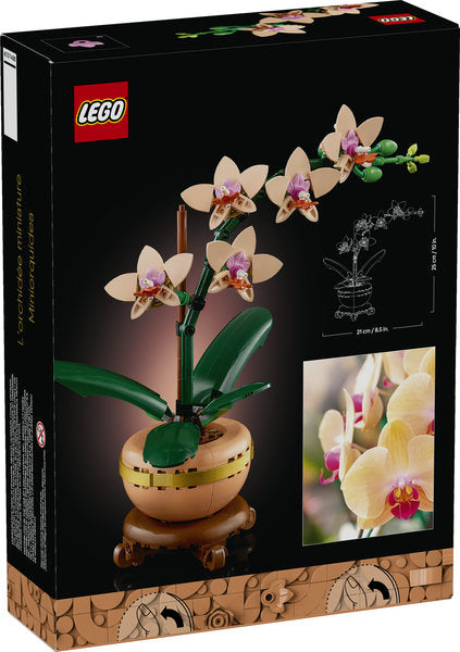 Bontanicals Mini Orchid