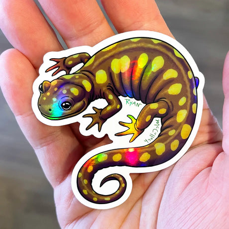 Hand holding a Spotted Salamander Holographic Sticker showing colorful spots and curled tail, durable and waterproof.