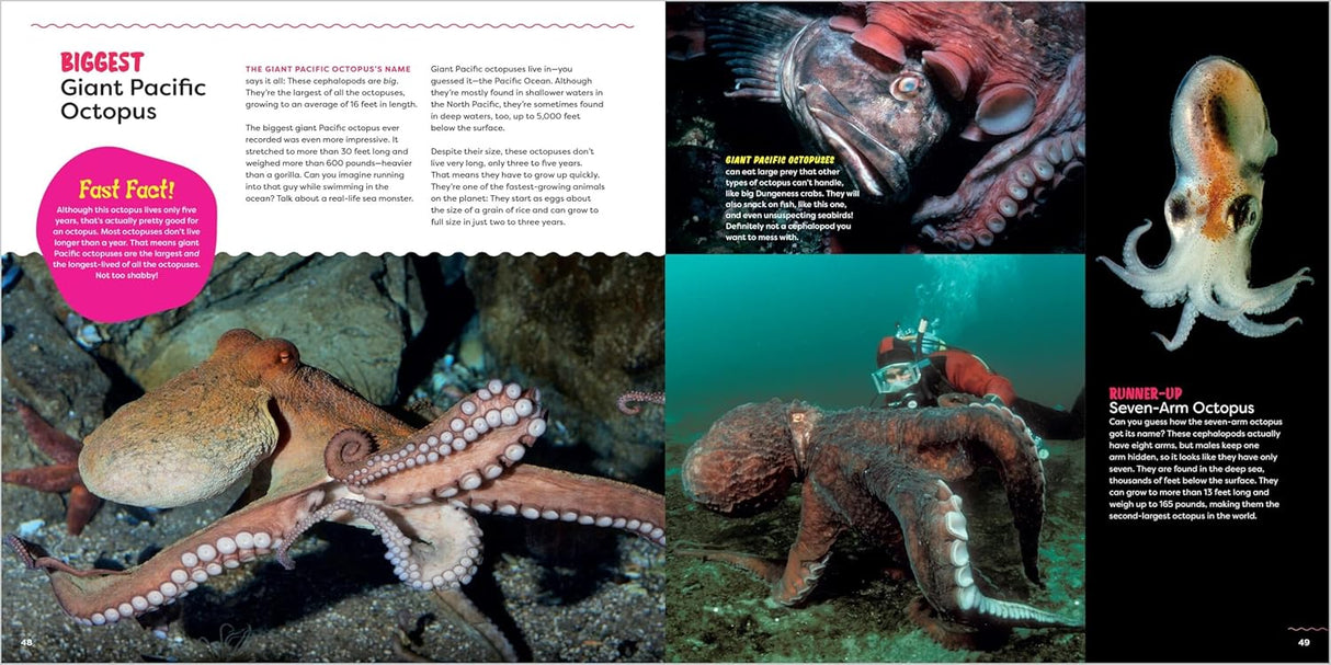The Incredible Octopus