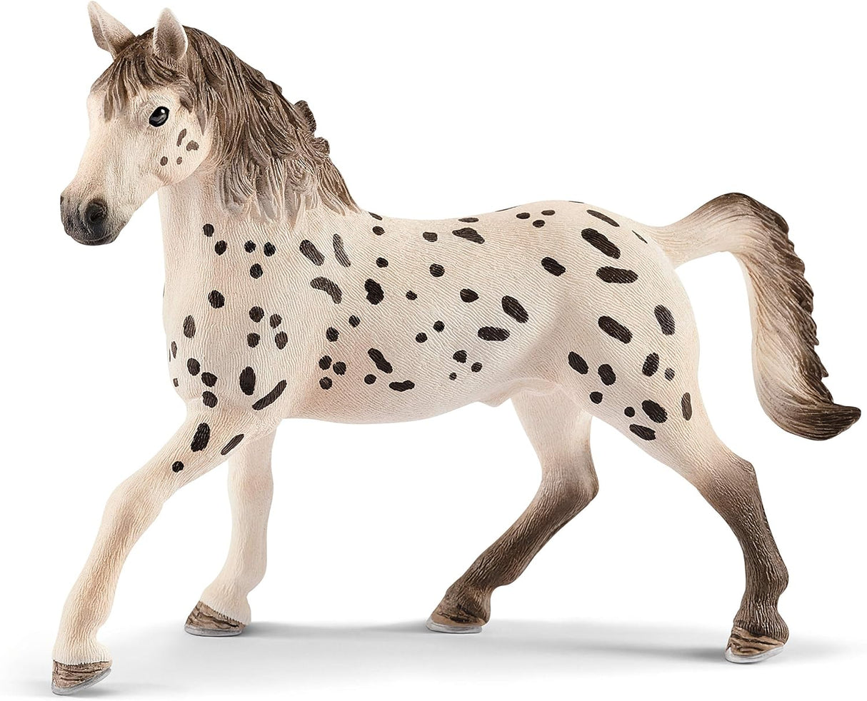 Knapstrupper Stallion Horse