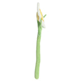 Poseez Daisy