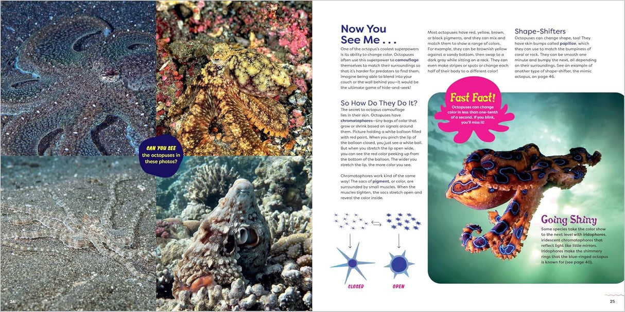 The Incredible Octopus