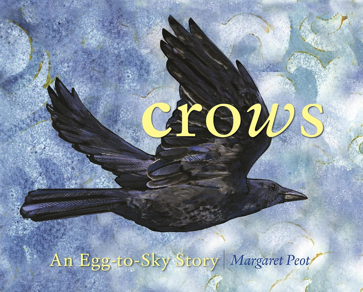 Crows: An Egg to Sky Story