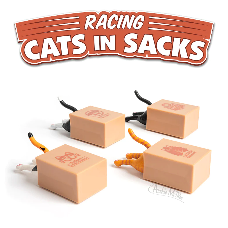 Racing Cat in Sack