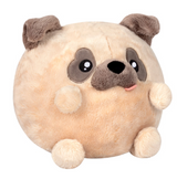 Undercover Pug in Queen