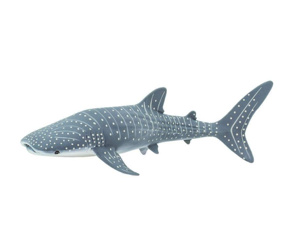 Whale Shark