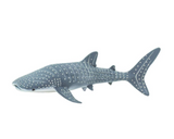 Whale Shark
