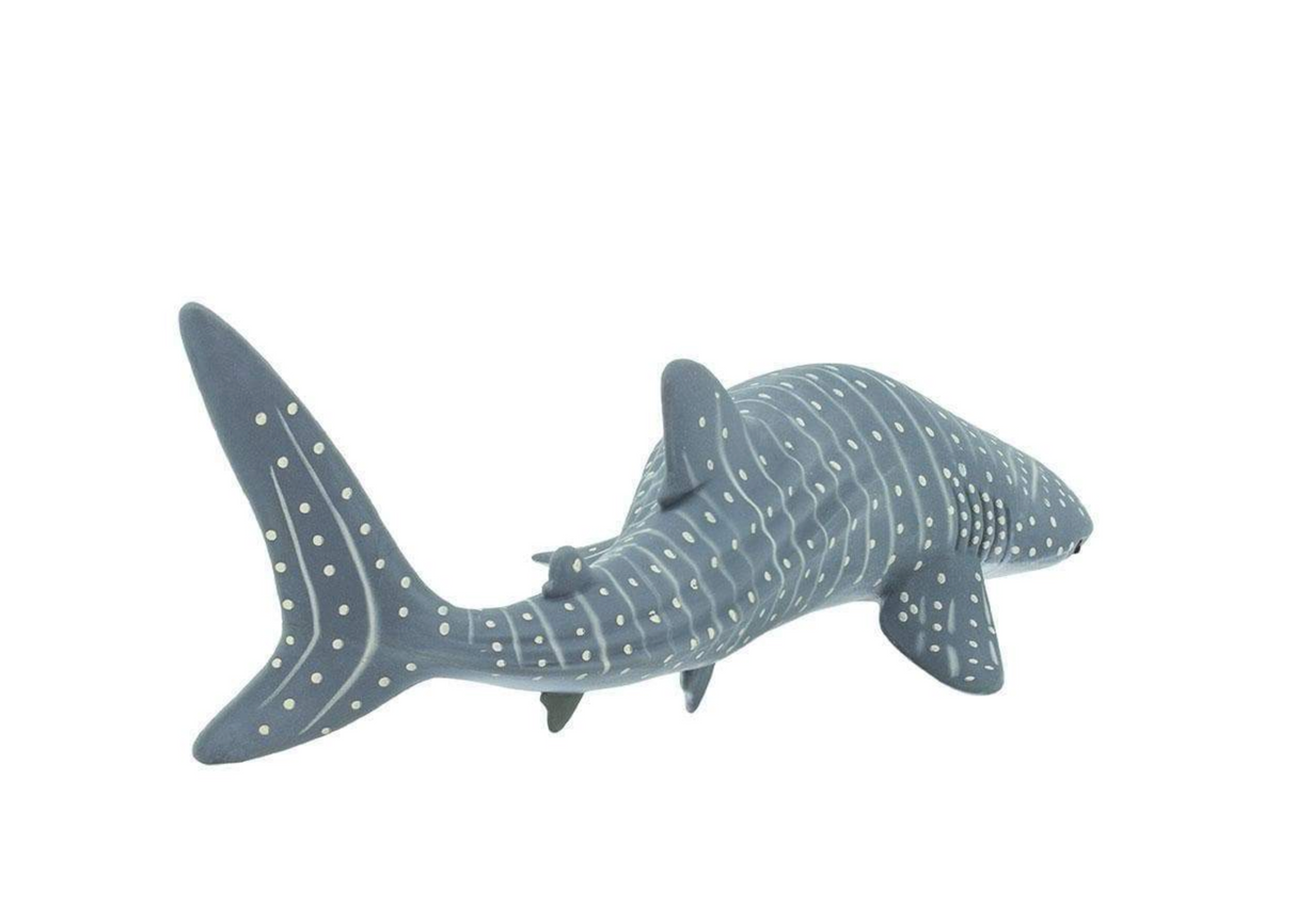 Whale Shark