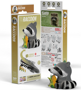 EUGY | Raccoon