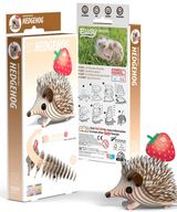 EUGY | Hedgehog