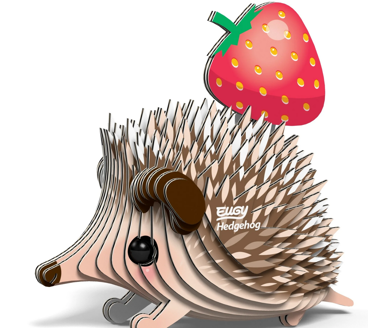 EUGY | Hedgehog