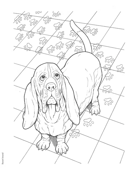 Dog Lovers Coloring Book featuring a detailed line drawing of a basset hound with paw prints on tiled floor.