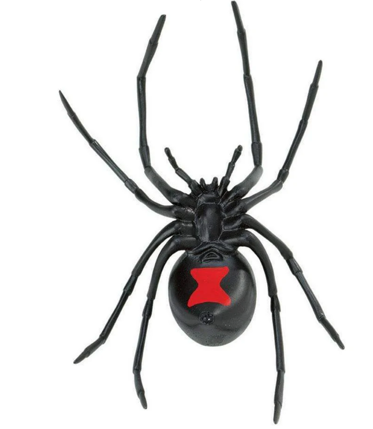 Black Widow Spider