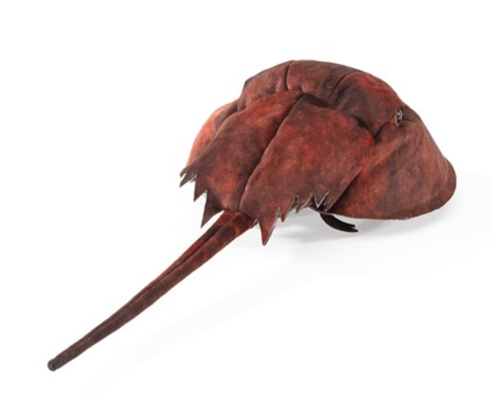 Horseshoe Crab Puppet