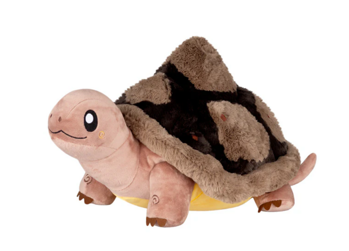 Tortoise Mini