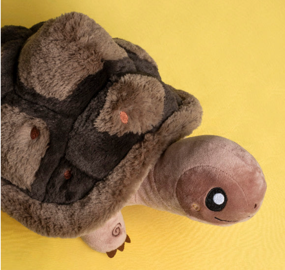 Tortoise Mini