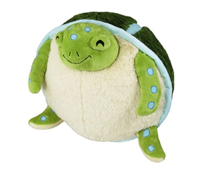 Sea Turtle