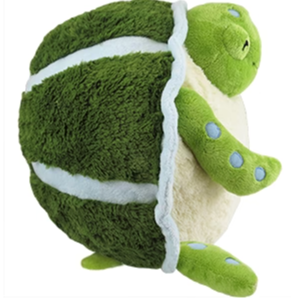Sea Turtle