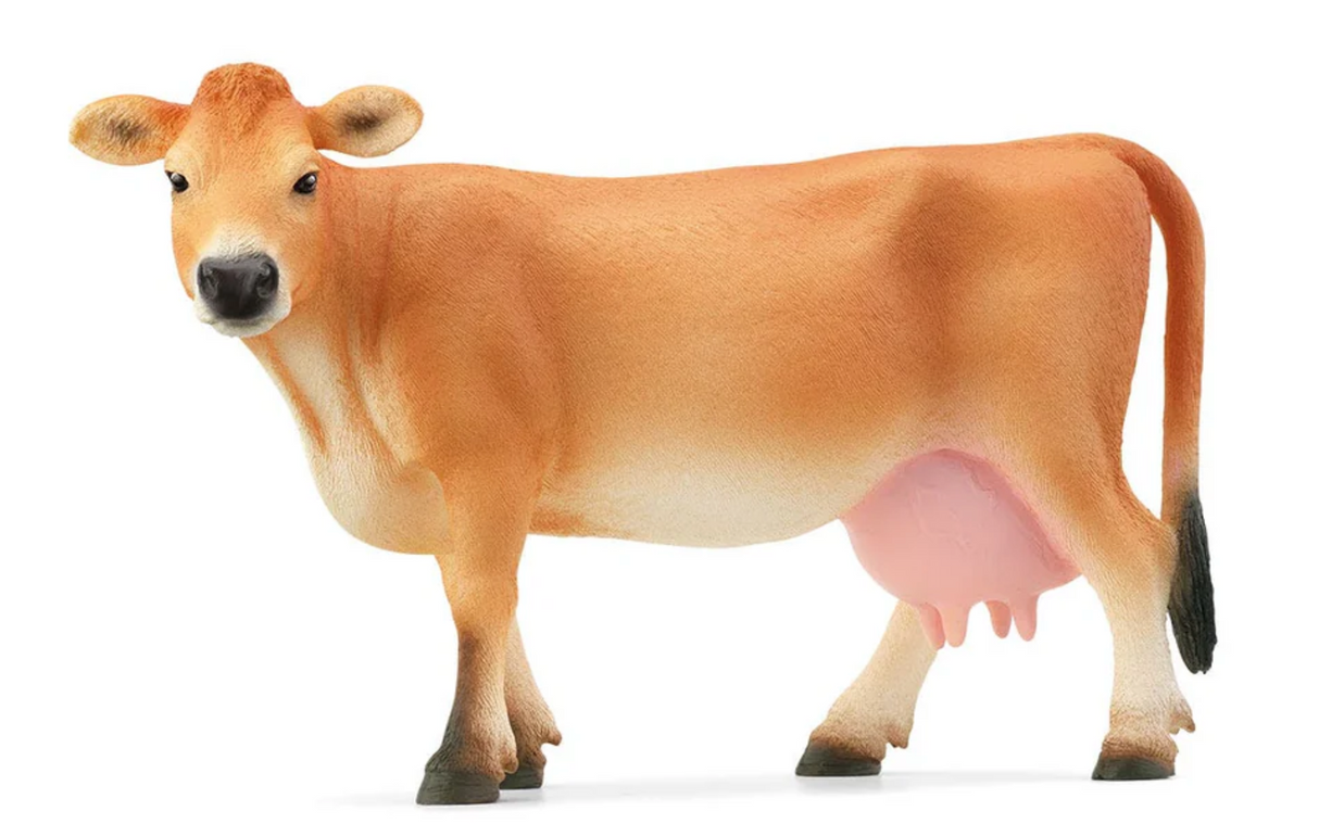 Jersey Cow