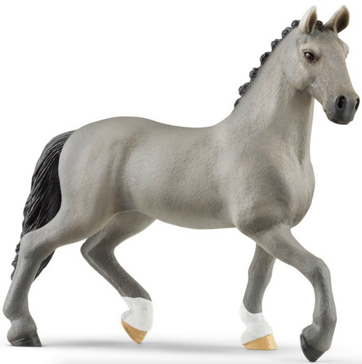 Horse Cheval de Selle Francais Stallion