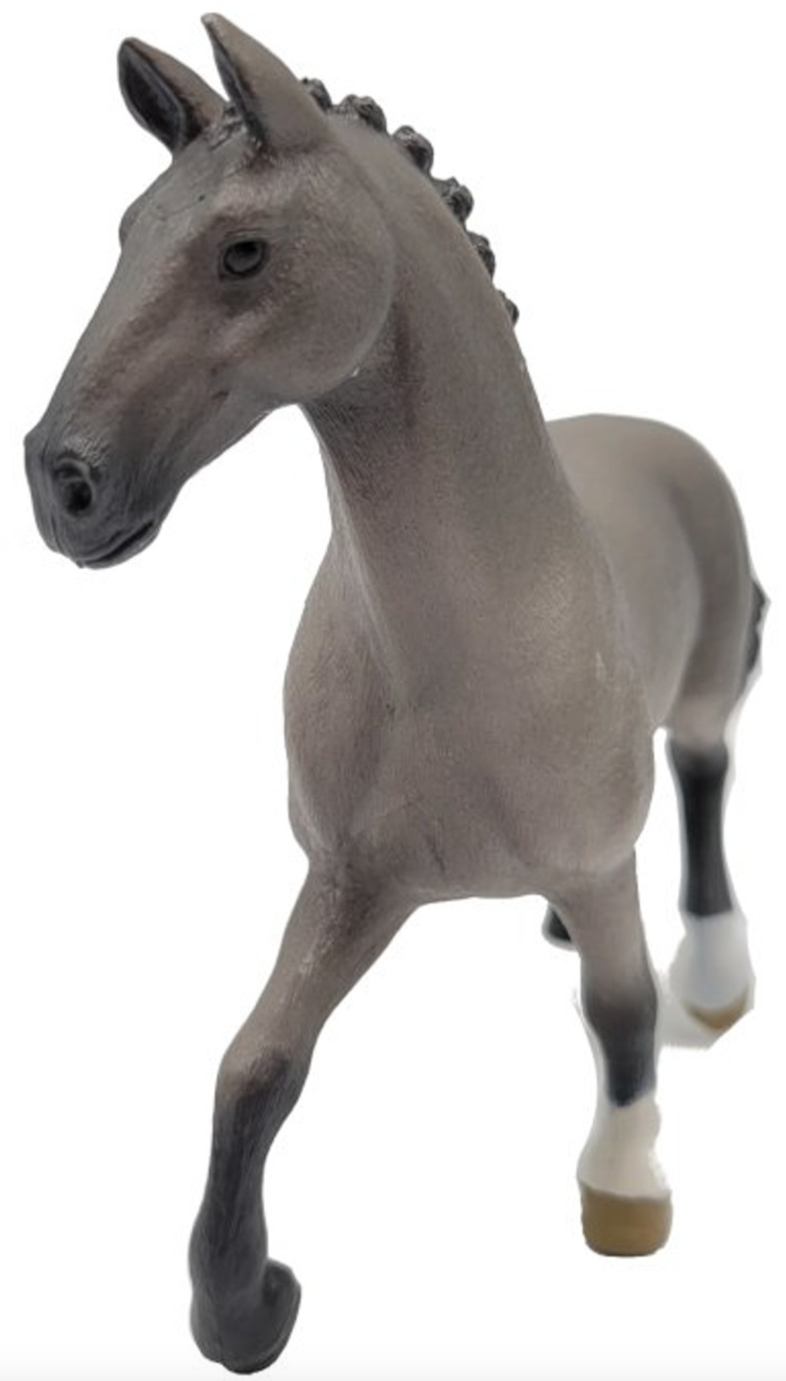 Horse Cheval de Selle Francais Stallion