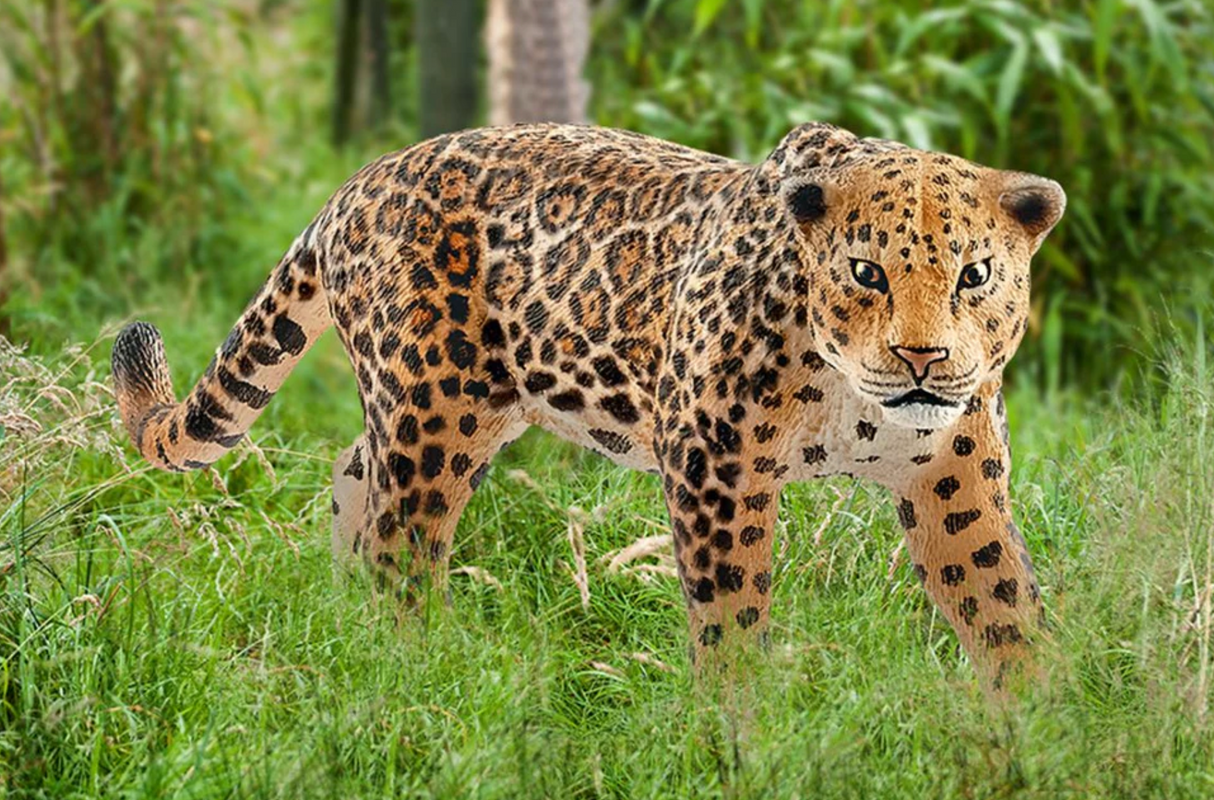 Jaguar
