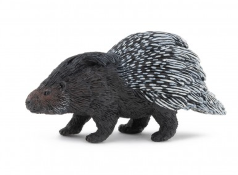 Porcupine