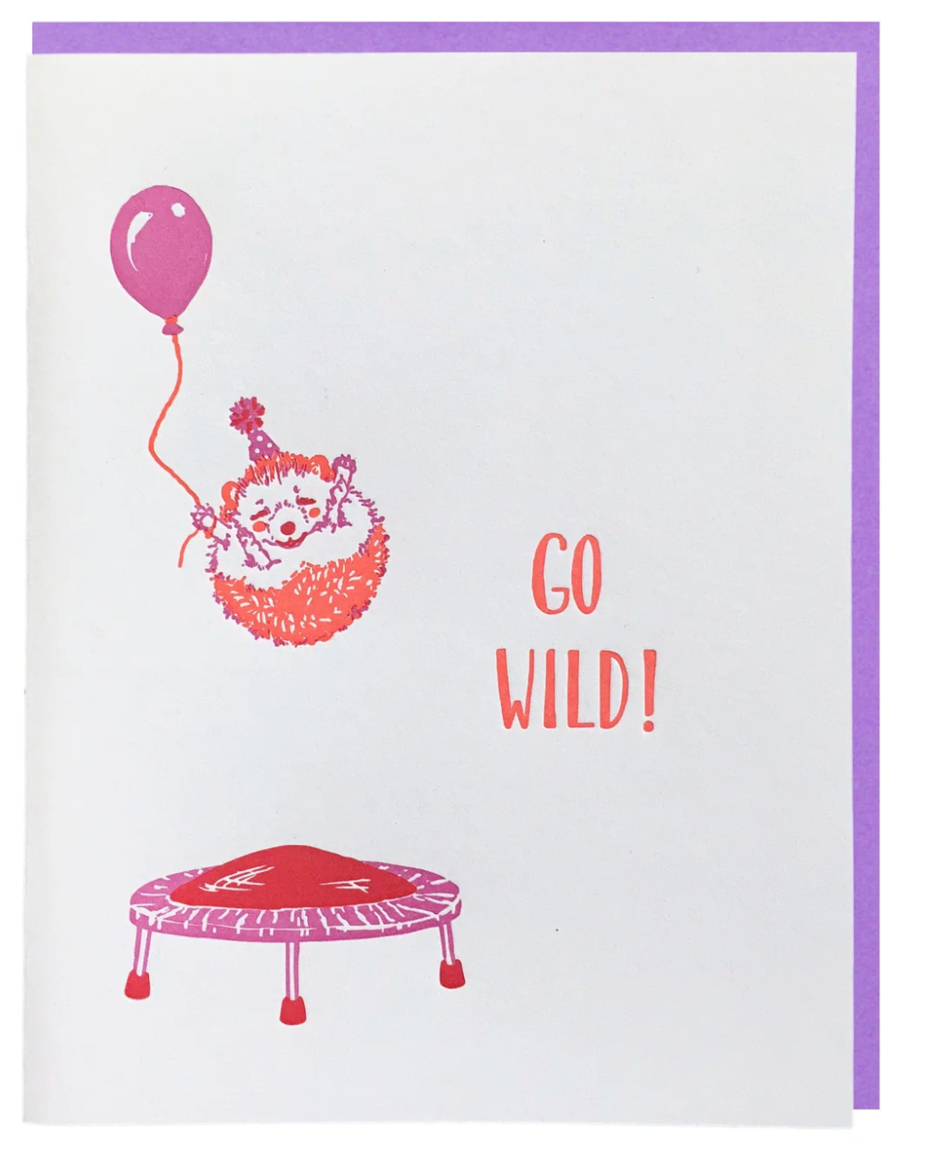 Hedgehog and Trampoline Birthday Card
