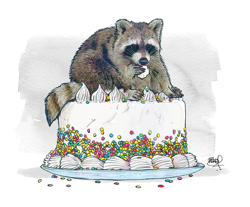 Birthday Bandit Raccoon Card