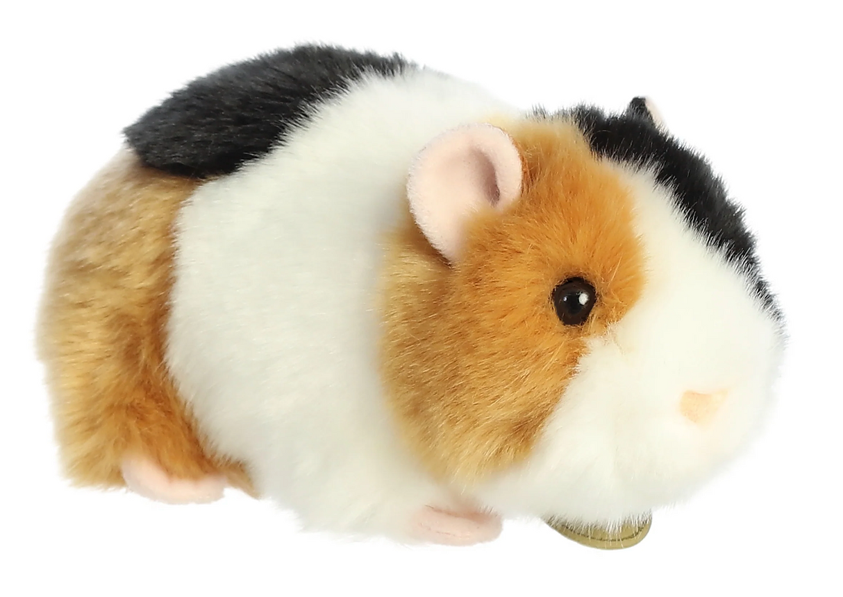 Guinea Pig
