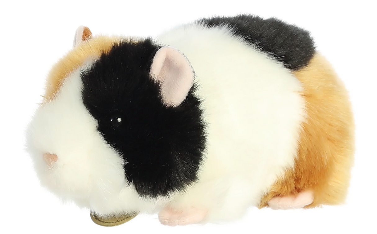 Guinea Pig