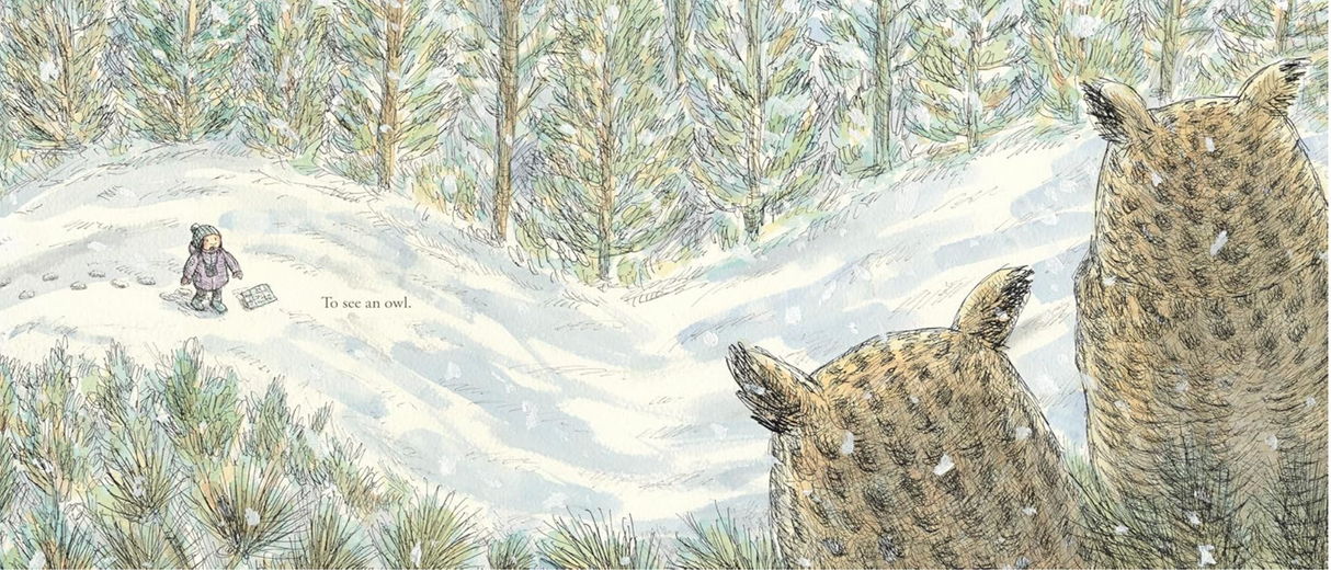 To See An Owl