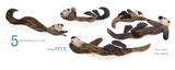 Hello Hello Numbers board book page showing five playful otters floating on water teaching counting to kids.