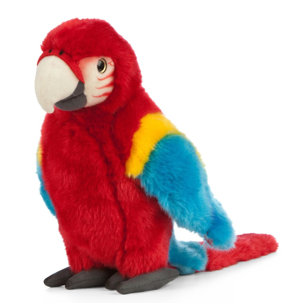 Red Macaw
